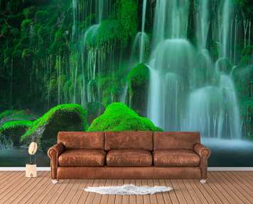 Wall Mural - Green moss