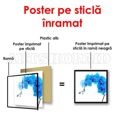 Poster - Orhideea albastră, 40 x 40 см, Panza pe cadru, Minimalism