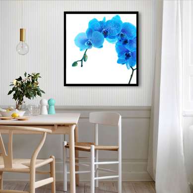 Poster - Blue Orchid, 40 x 40 см, Canvas on frame, Minimalism