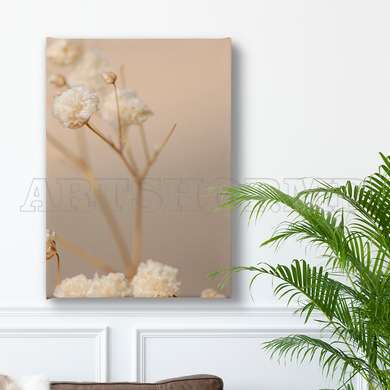 Poster - Dried Gypsophila Flowers, 60 x 90 см, Framed poster on glass, Botanical