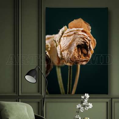 Poster - Dry flower, 30 x 45 см, Canvas on frame, Flowers