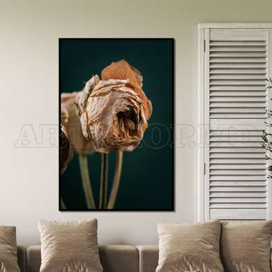 Poster - Dry flower, 60 x 90 см, Framed poster on glass, Flowers