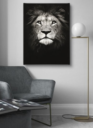 Poster, Leopard, Panza pe cadru