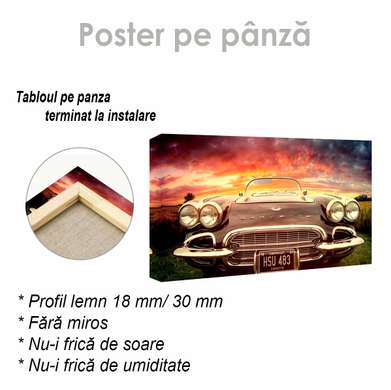 Poster - Carvette, 90 x 45 см, Framed poster on glass, Transport