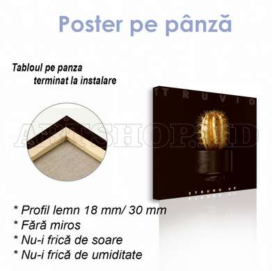 Poster - Cactus auriu, 40 x 40 см, Panza pe cadru, Glamour