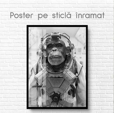 Постер, Черно белый снимок обезьяны, 60 x 90 см, Постер на Стекле в раме, Животные
