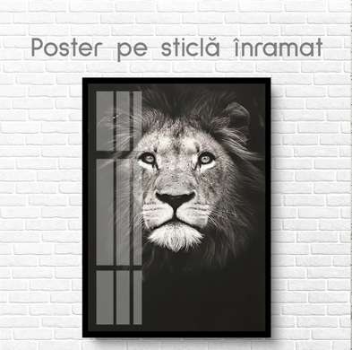 Постер, Леопард, 60 x 90 см, Постер на Стекле в раме
