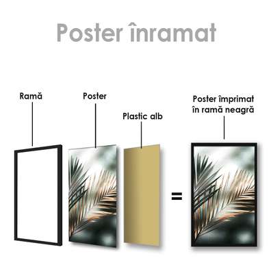 Poster - Frunze de palmier, 30 x 45 см, Panza pe cadru, Botanică