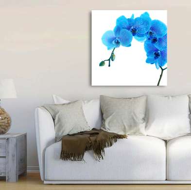 Постер - Голубая орхидея, 40 x 40 см, Холст на подрамнике, Минимализм