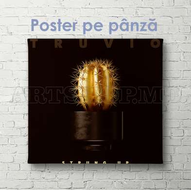 Poster - Cactus auriu, 40 x 40 см, Panza pe cadru, Glamour