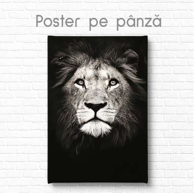 Постер, Леопард, 30 x 45 см, Холст на подрамнике