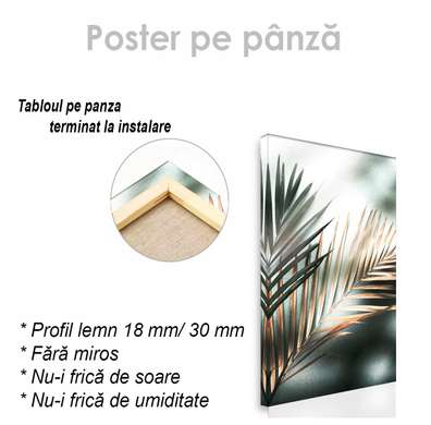 Poster - Palm leaves, 30 x 45 см, Canvas on frame, Botanical