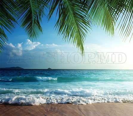 Wall mural - Sea waves and palm trees