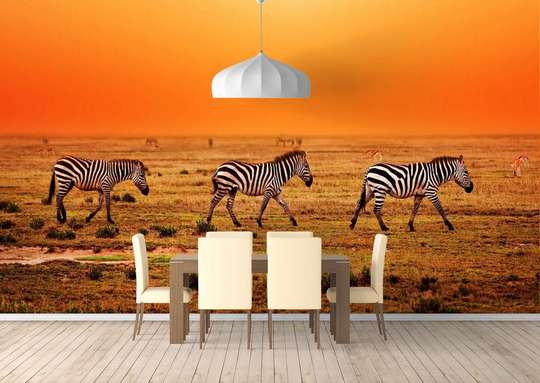 Wall Murall - Zebras at sunset background