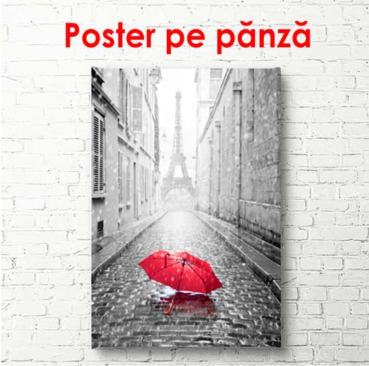 Poster - Umbrela roșie în alb-negru Paris, 45 x 90 см, Poster înrămat, Alb Negru