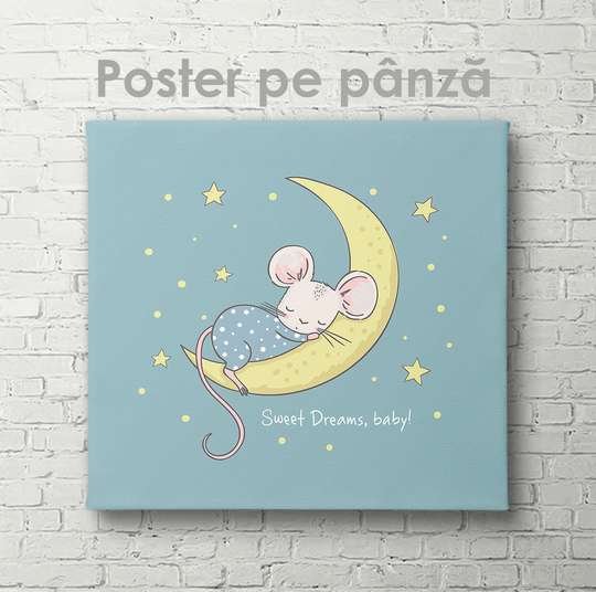 Poster - Mouse on the moon, 40 x 40 см, Canvas on frame
