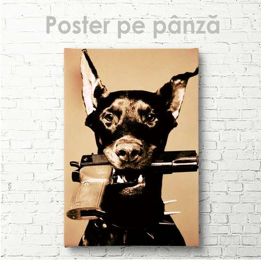 Poster, Doberman cu pistol, 30 x 45 см, Panza pe cadru, Animale