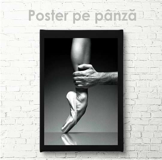 Poster - Frumusețea dansului, 30 x 45 см, Panza pe cadru