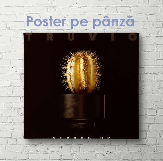 Poster - Cactus auriu, 40 x 40 см, Panza pe cadru, Glamour