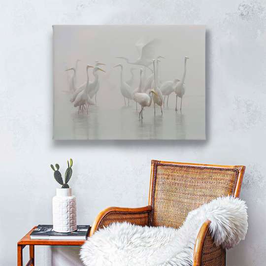 Poster, Birds in the fog, Animals