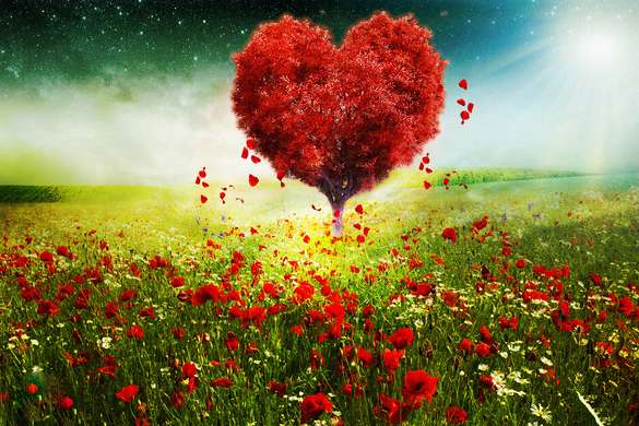 Wall Mural - Scarlet tree in the shape of a heart in a poppy field