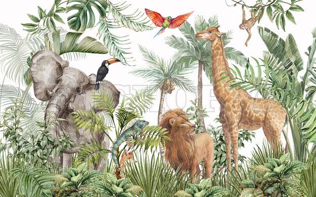 Wall mural - Safari animals in the jungle and exotic birds