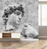 Wall Mural - Classical statue element