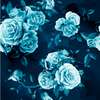 Wall Mural - Blue roses