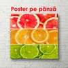 Poster - Citrice colorate, 100 x 100 см, Poster înrămat, Alimente și Băuturi
