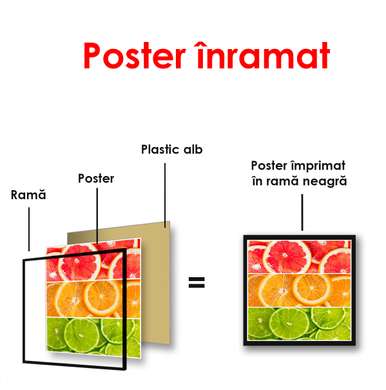 Poster - Citrice colorate, 100 x 100 см, Poster înrămat, Alimente și Băuturi