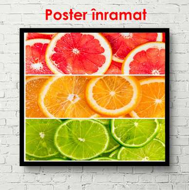 Poster - Colorful citruses, 100 x 100 см, Framed poster on glass, Food and Drinks