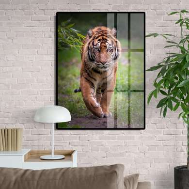 Постер, Грациозный Тигр, 60 x 90 см, Постер на Стекле в раме, Животные