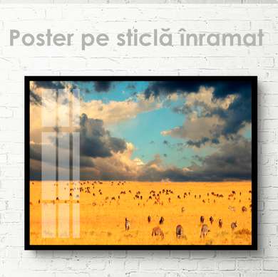 Poster, Animalele în libertate, 90 x 60 см, Poster inramat pe sticla