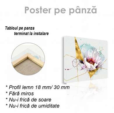 Poster - Floare albă plină de farmec, 40 x 40 см, Panza pe cadru, Flori