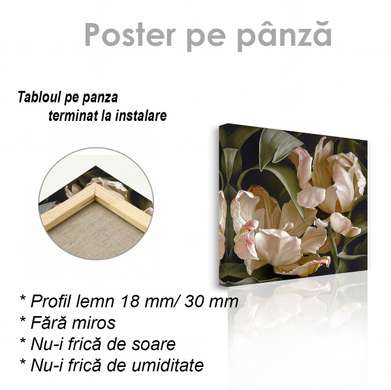 Poster - Flori delicate, 100 x 100 см, Poster inramat pe sticla