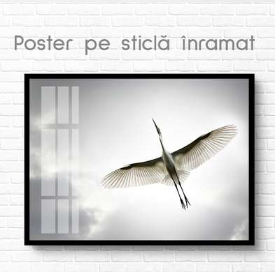 Poster, Egret
