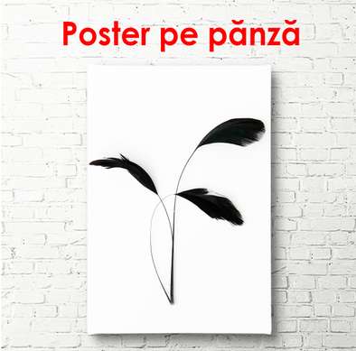 Poster - Imaginea plantei alb negru, 30 x 60 см, Panza pe cadru, Alb Negru