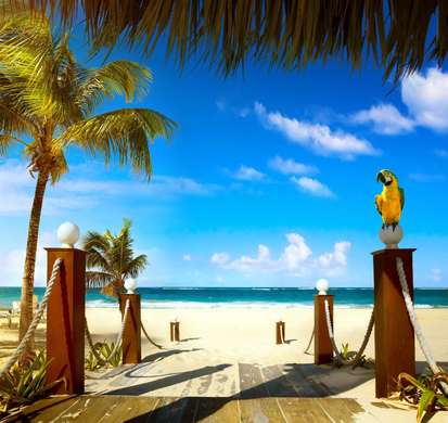 Фотообои - Солнечное утро на фоне пальм и пляжа