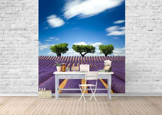 Wall Mural - Lavender field