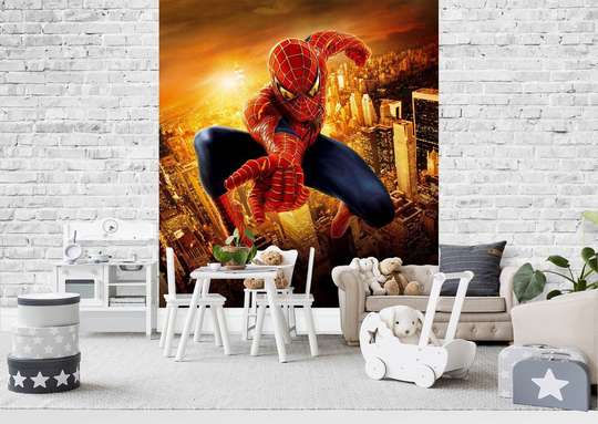Wall Mural - Spiderman on the background of the city