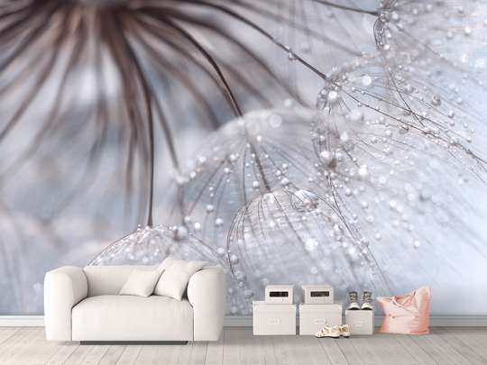 Wall Mural - Dew on a dandelion