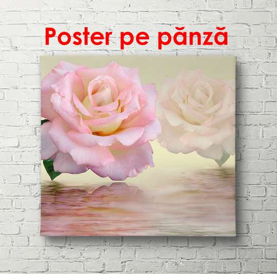 Poster - Trandafirul roz în reflexia apei, 100 x 100 см, Poster înrămat, Flori