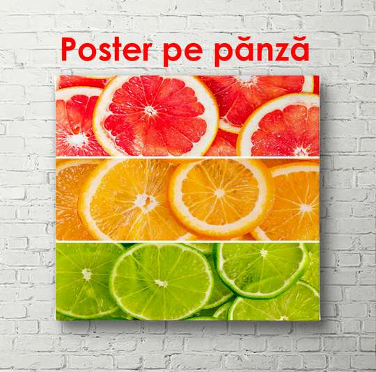 Poster - Colorful citruses, 100 x 100 см, Framed poster