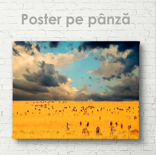 Poster, Animals on the loose, 45 x 30 см, Canvas on frame, Animals