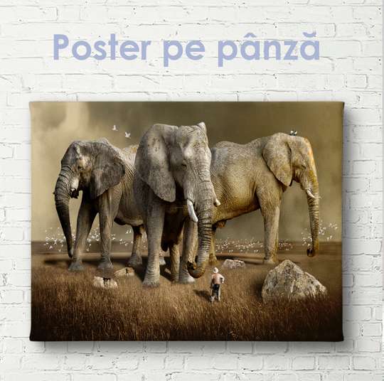 Постер, Гигантские слоны, 60 x 30 см, Холст на подрамнике, Животные