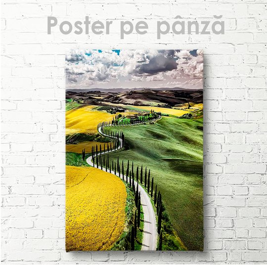 Poster, Contrastele, 30 x 45 см, Panza pe cadru