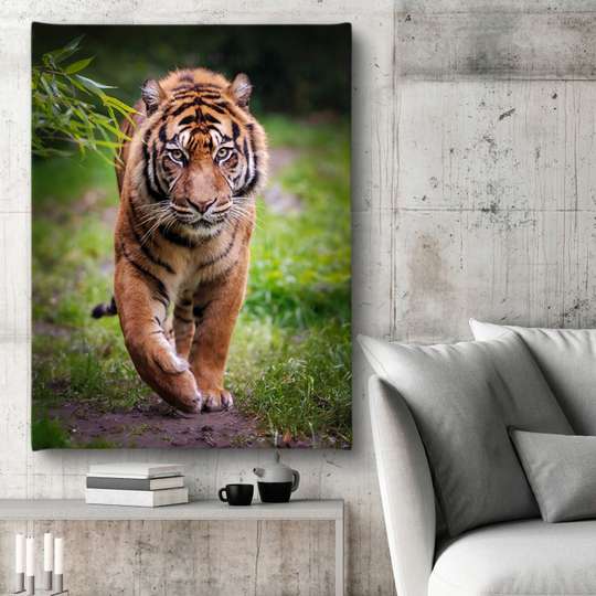 Poster, Tigru grațios, 30 x 45 см, Panza pe cadru