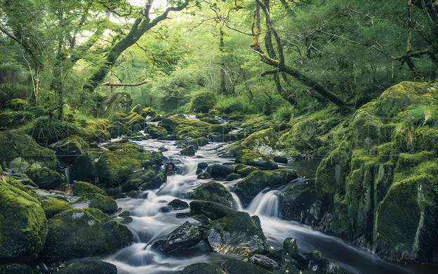 Wall mural - Rocky waterfall in the green forest