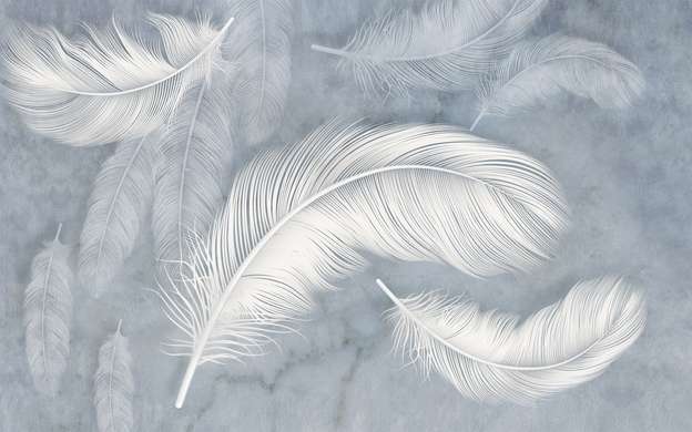Wall Mural - Delicate feathers on a blue background