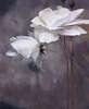 Wall Mural - White flowers on a dark background